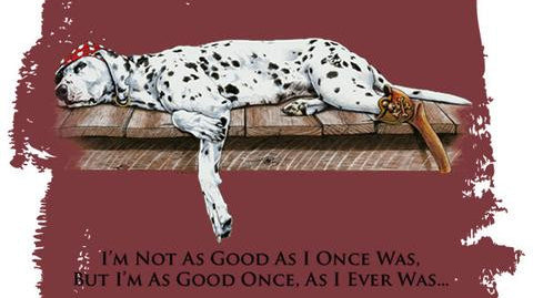 The Sea Dog Imprisoned by the Dread Pirate Gloomsday