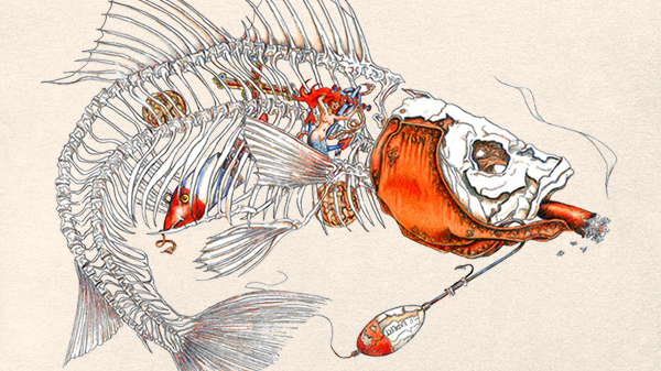 Sea Dog Iron Jaw Often Hooked Never Landed