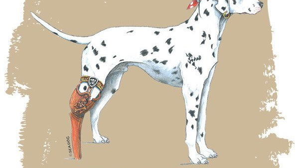 The Sea Dog Gets his Name