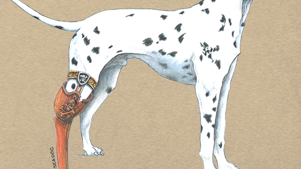 Welcome to the Sea Dog Shop Blog