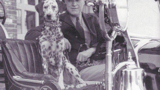 Dalmatians and Horses