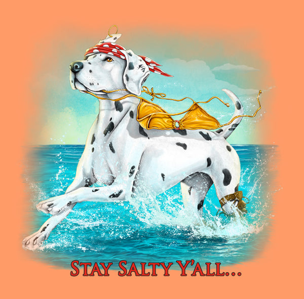 Stay Salty Y'All ...
