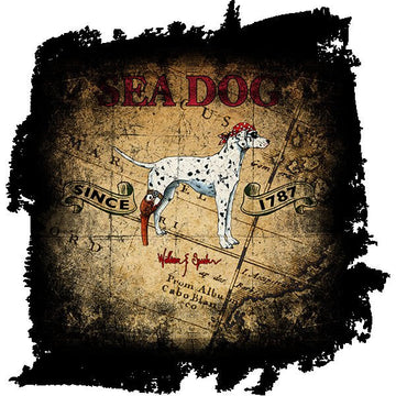 The Sea Dog and the Treasure Map