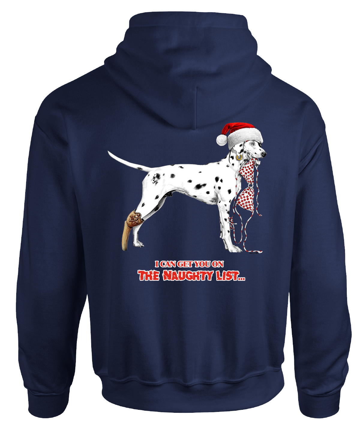 Christmas Naughty List Santa Hat Holiday Festive Hooded Sweatshirt