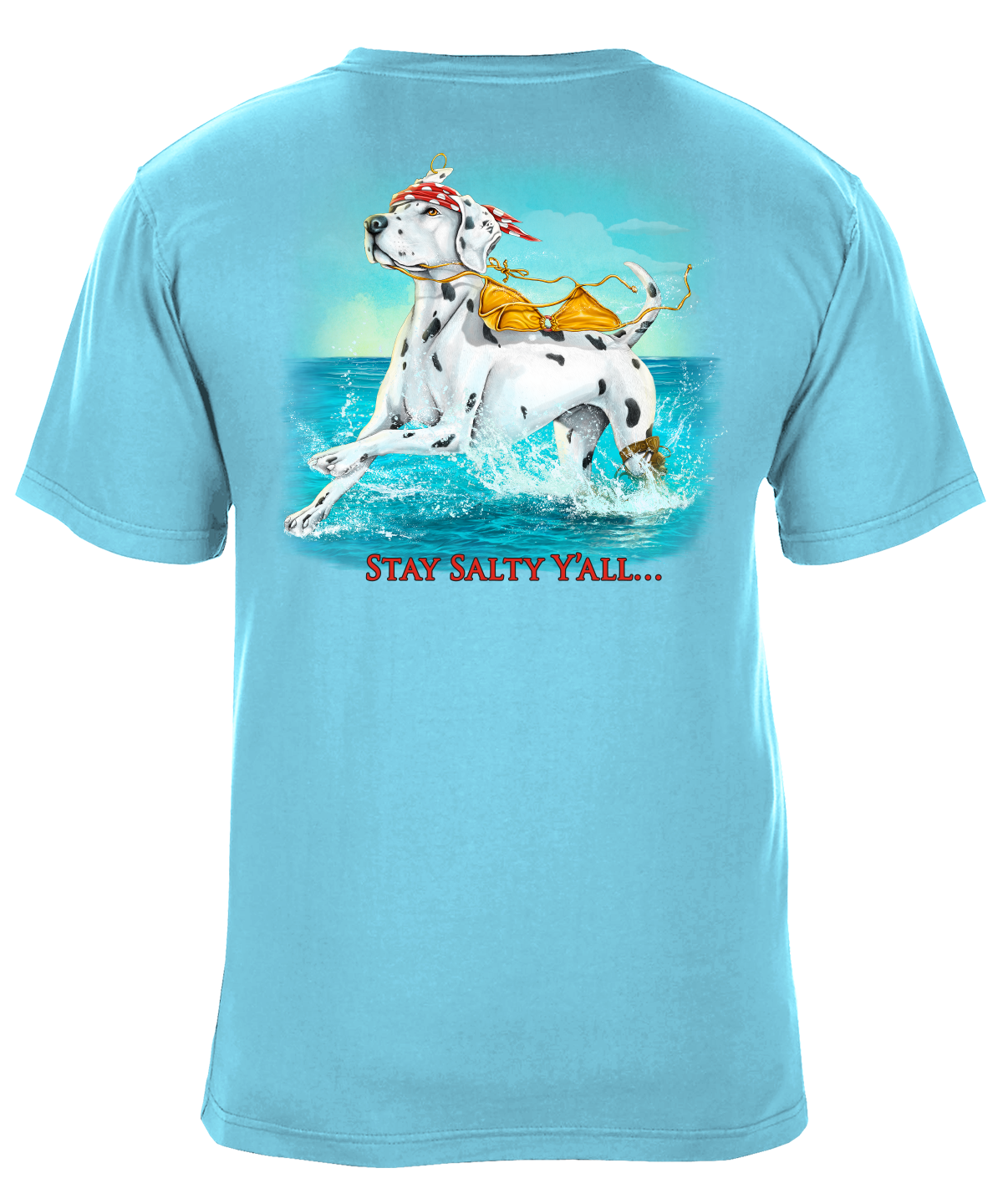 Stay Salty Y’all Beach Graphic T-Shirt - Available in 3 Colors