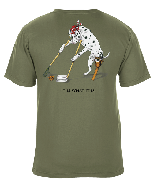 It Is What It Is T-Shirt