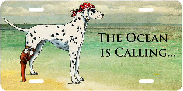 "The Ocean Is Calling ... " Front License Plates